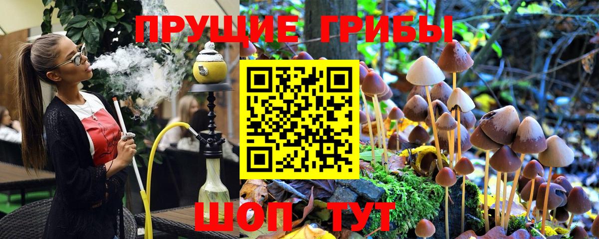 Псилоцибиновые грибы ЛСД Ипатово