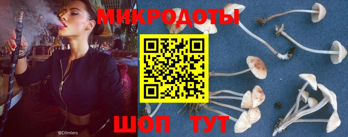 Псилоцибиновые грибы ЛСД  Вход с VPN  Ипатово  Псилоцибиновые грибы Psilocybine cubensis 